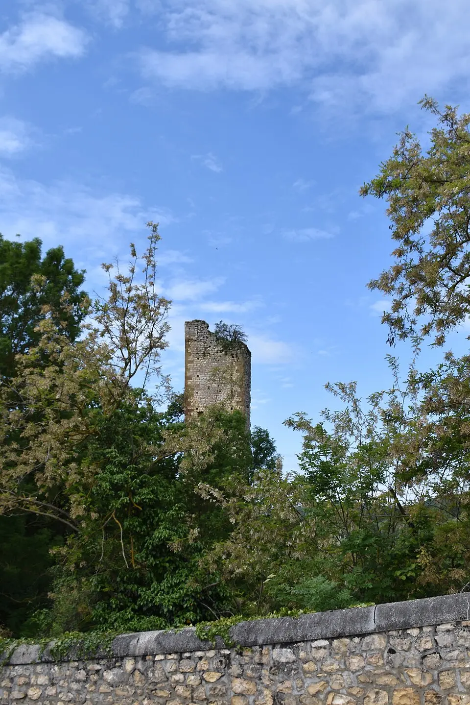 château de Larroque
