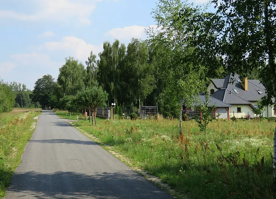 Lasek