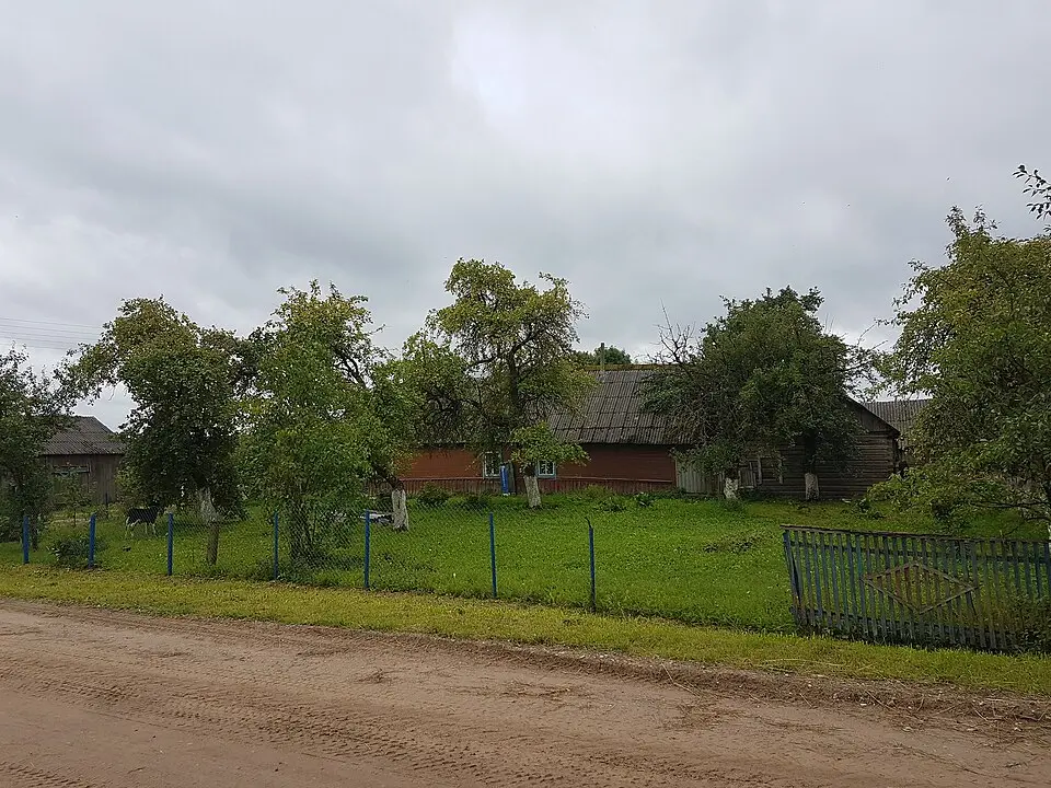 Латышы