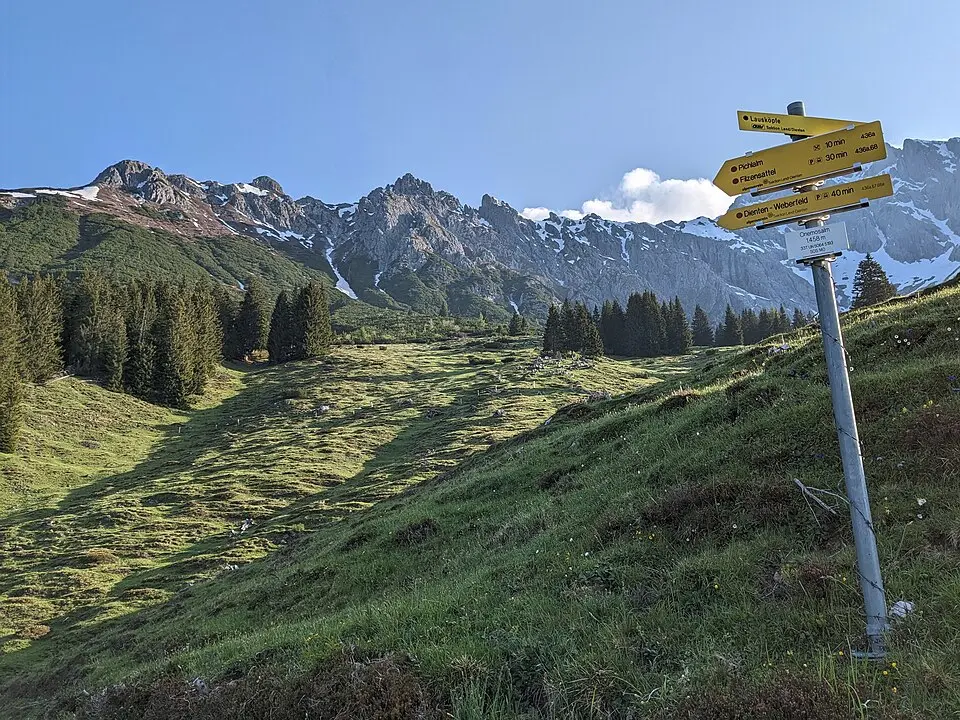 Lausköpfe