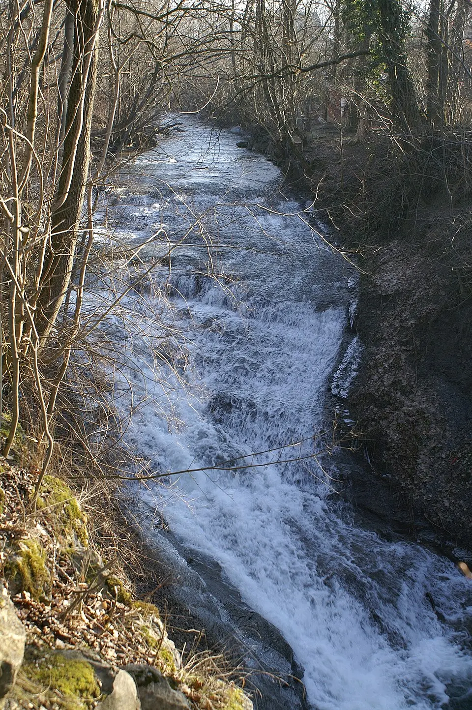Lauter