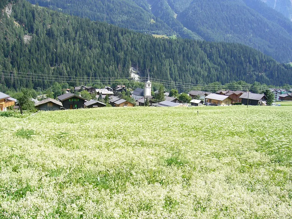 Hochgeladen von: Berger~commonswiki · CC BY-SA 3.0 Lax