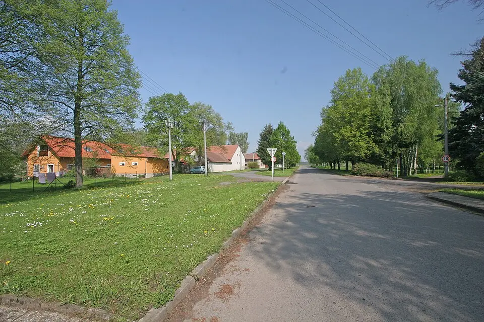 Kép: Petr1888 · CC BY-SA 3.0 Lány u Dašic