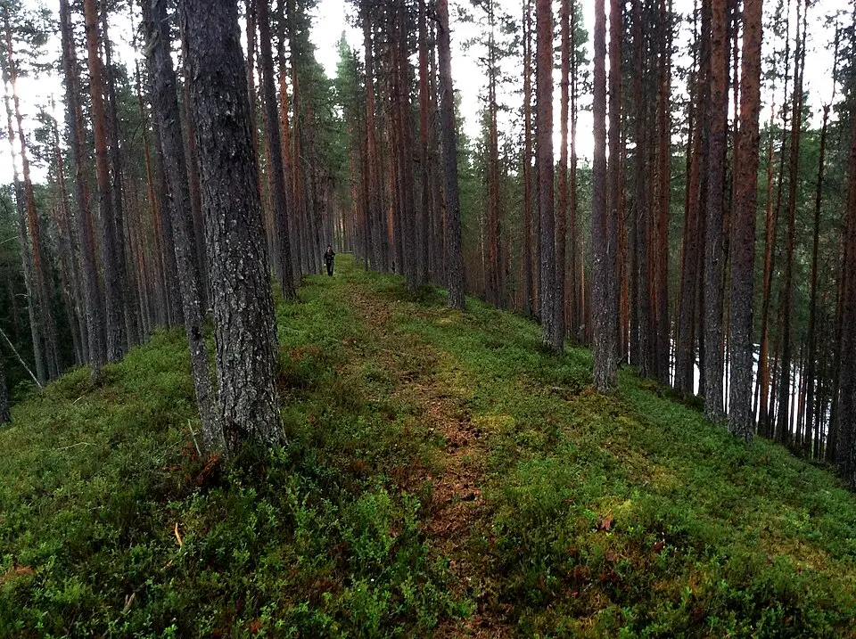 Vändåtberget