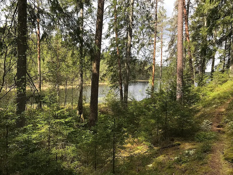 Läkarebo naturreservat