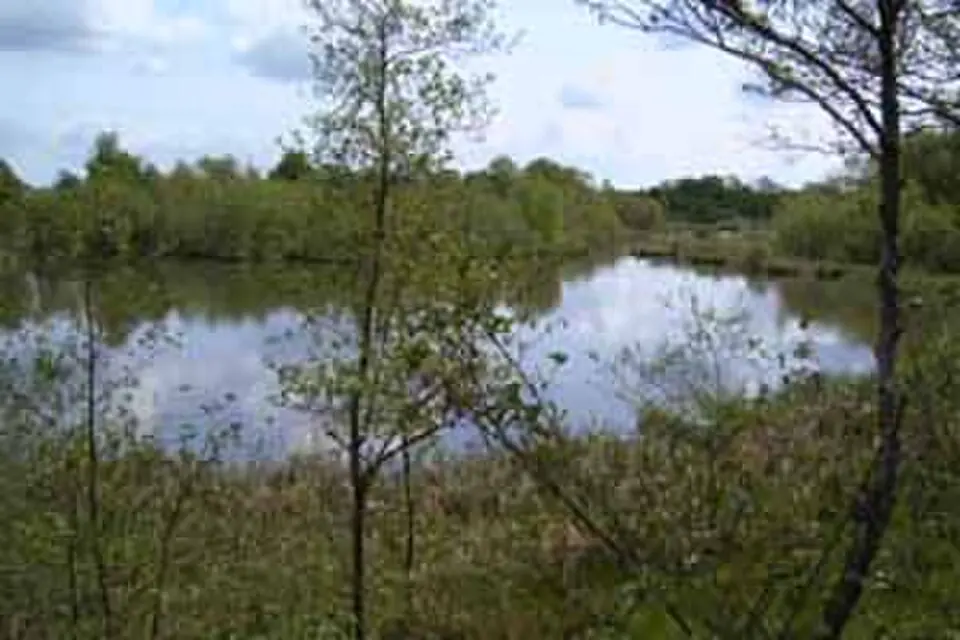 Image: Juzisabus · Public domain Abullahagen