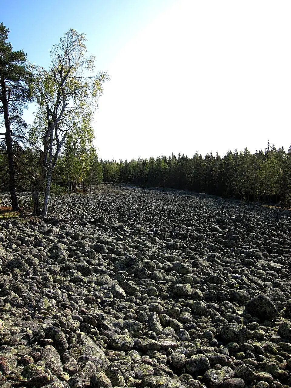 Långbergskullarna