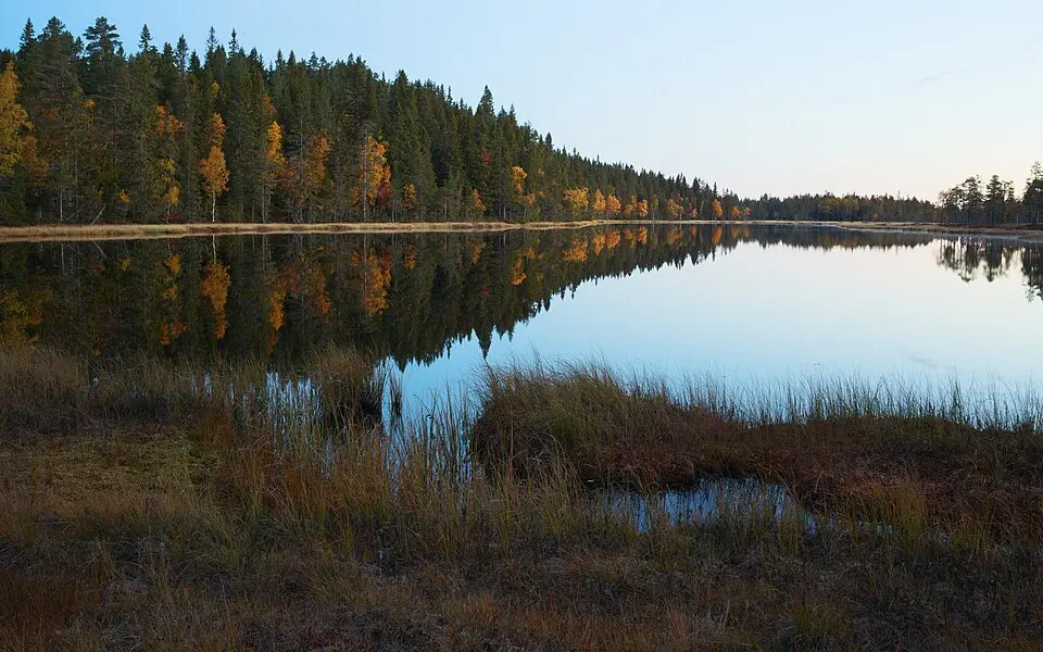 Gyllbergen