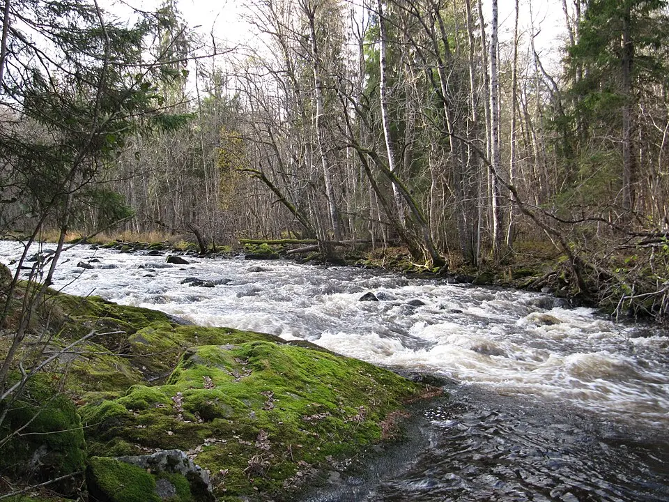 Järleåns naturreservat