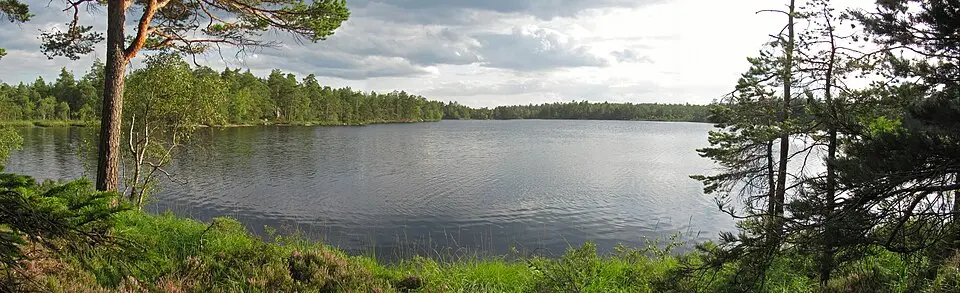 Långsjön