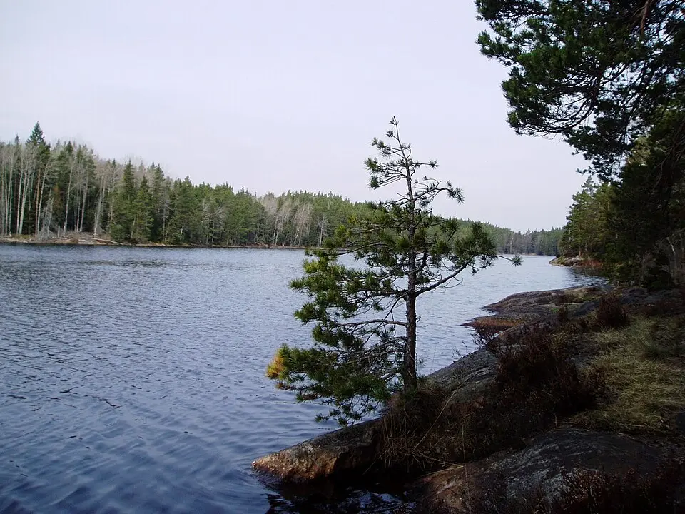 Långsjön
