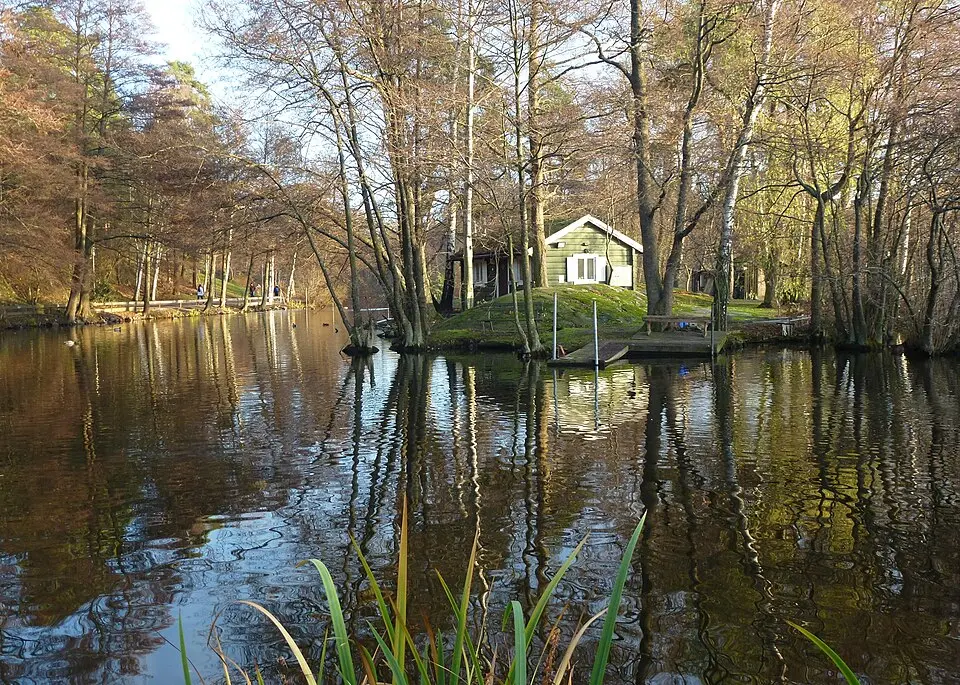 Lötsjön-Golfängarna naturreservat