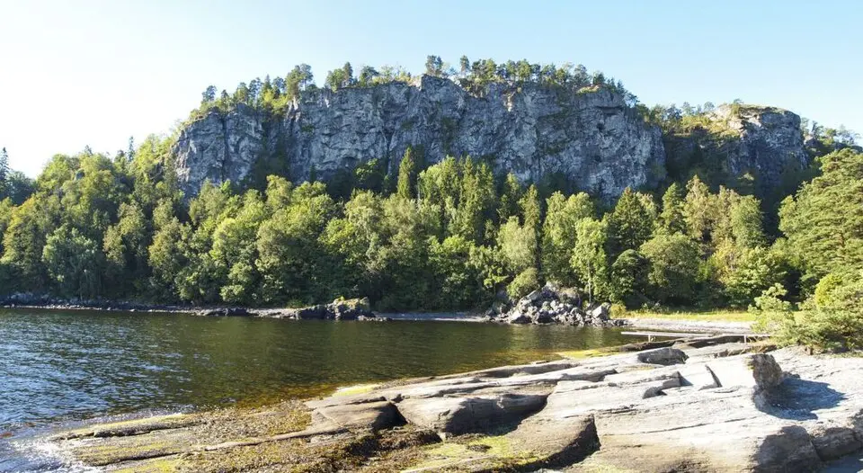 Løvøya naturreservat