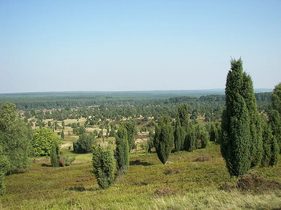 parc naturel Lüneburger Heide