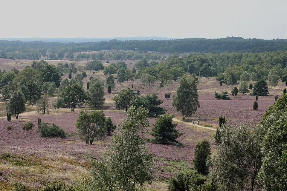 Lüneburger Heide