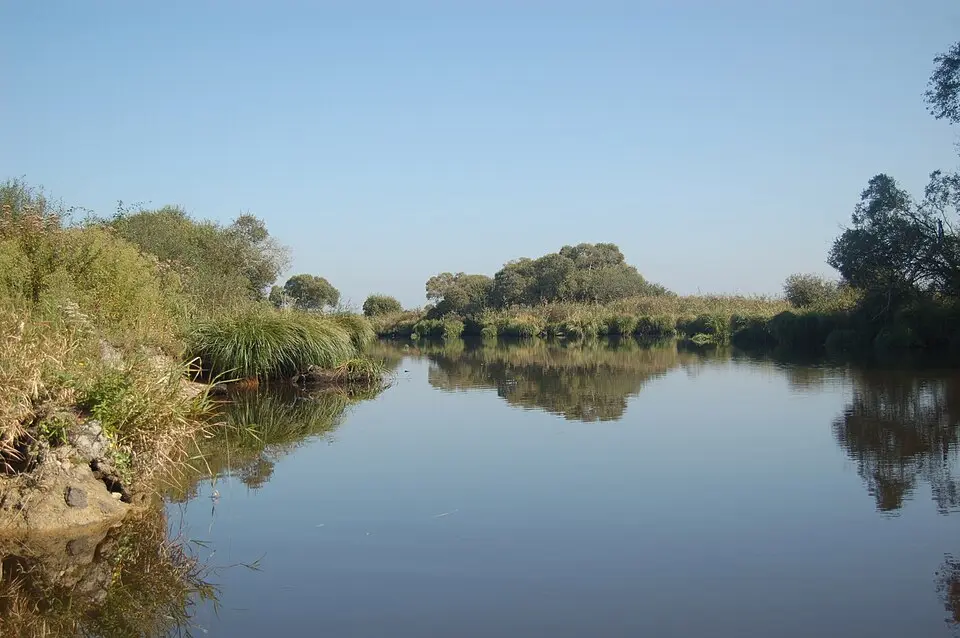 parc naturel régional de la Brière