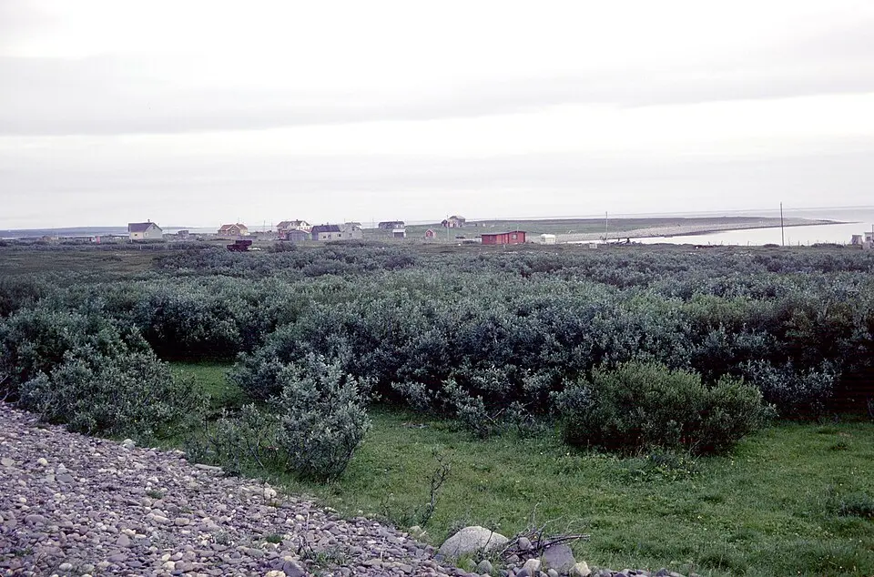 Komagvær