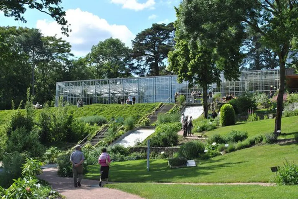 jardin Camifolia