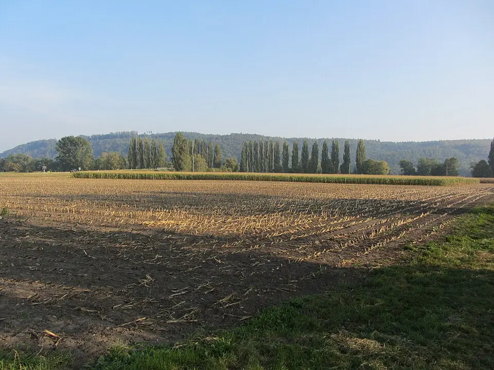 Ensemble de la Vieille Thielle, ensemble de sites néolithiques / romains