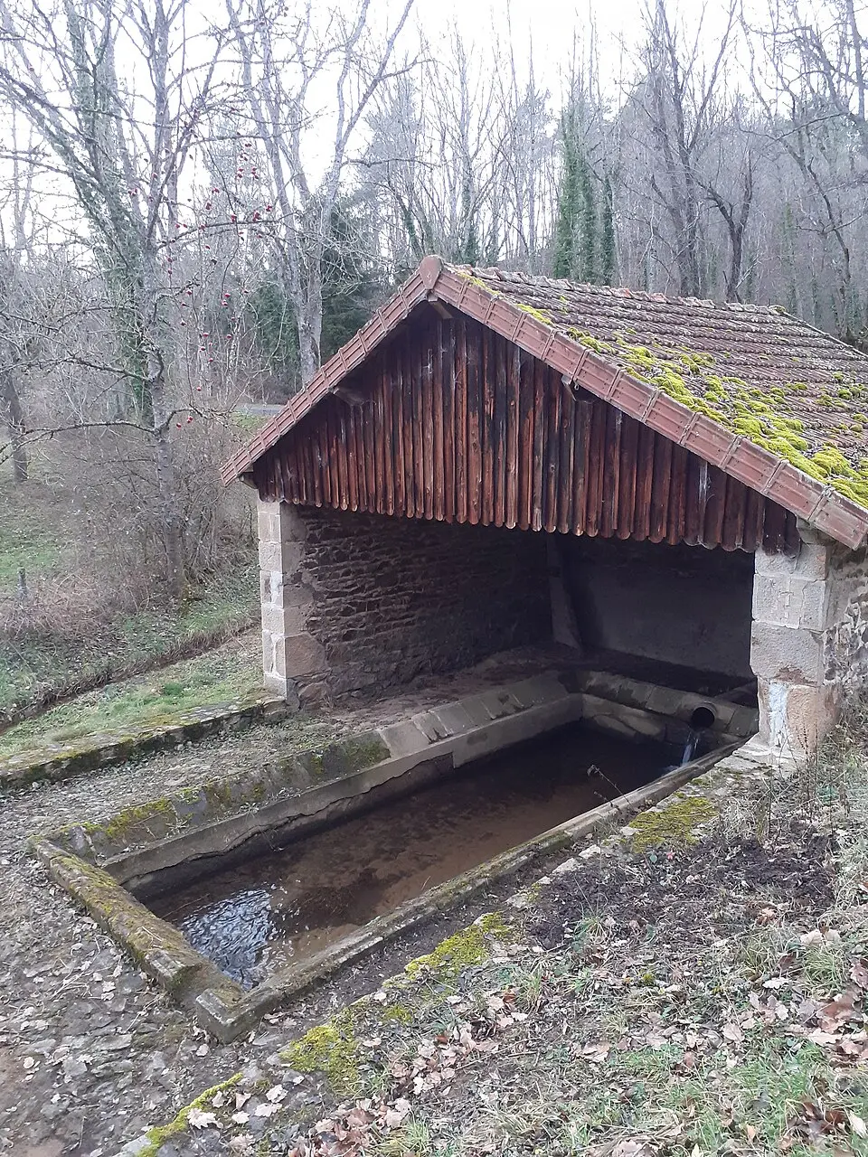 Saint-Martin-d'Ollières