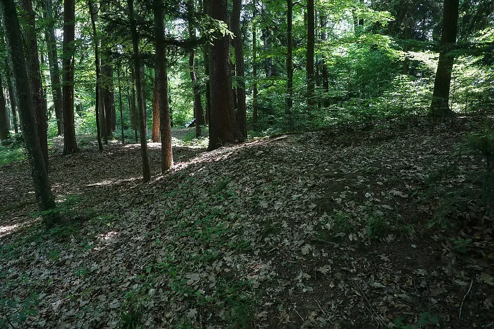 Hügelgräbergruppe Lebernholz