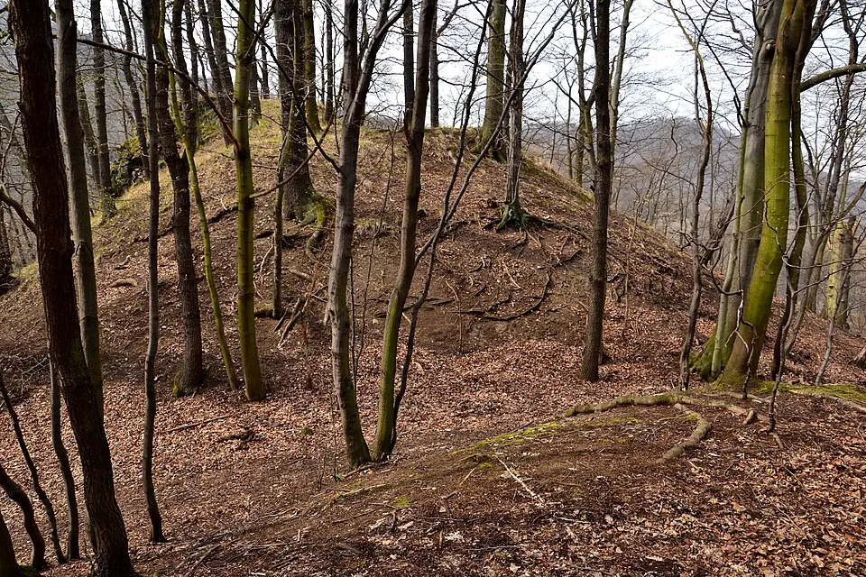 Leština