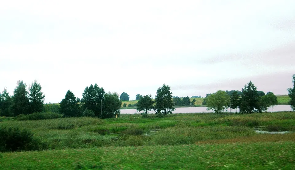 municipalité de Marijampolė