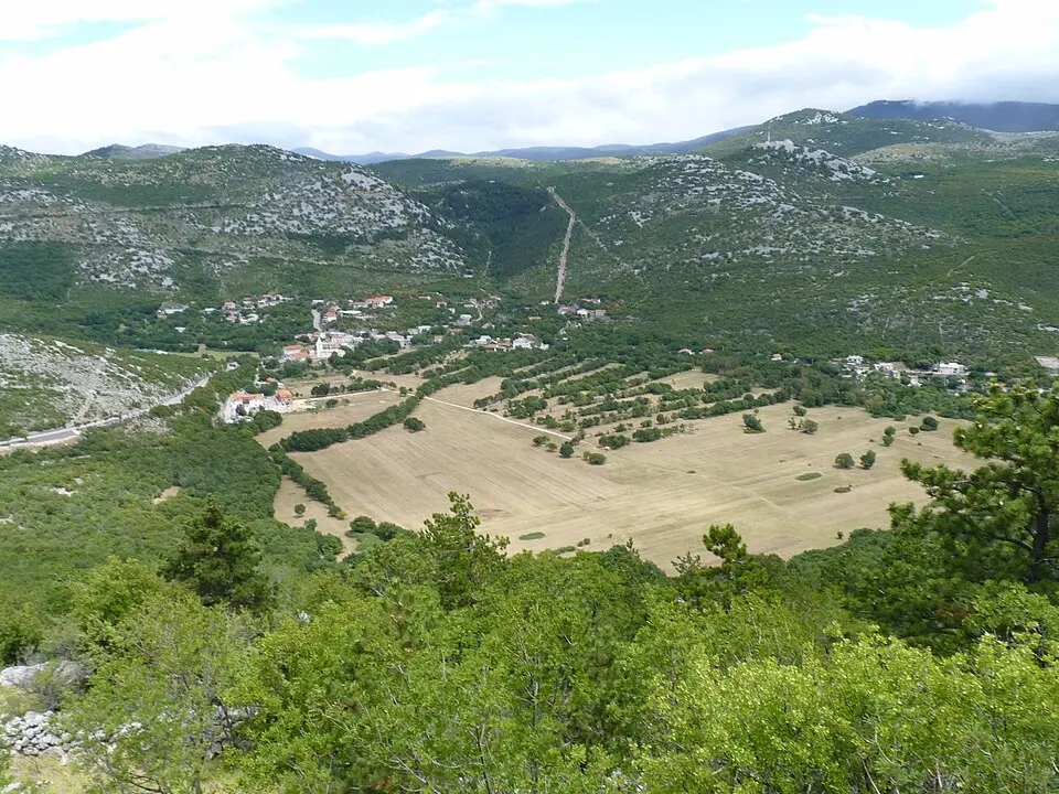 Ledenice