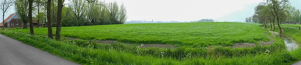 Terrein met twee wierden (Zijlvesterweg VIII)