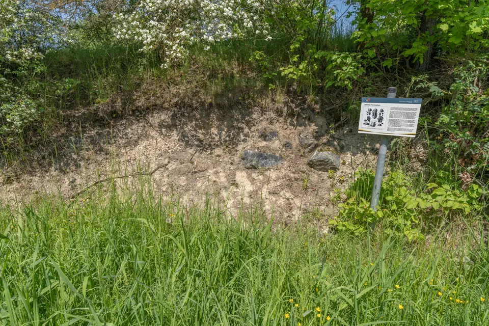 Formation de Leimitz