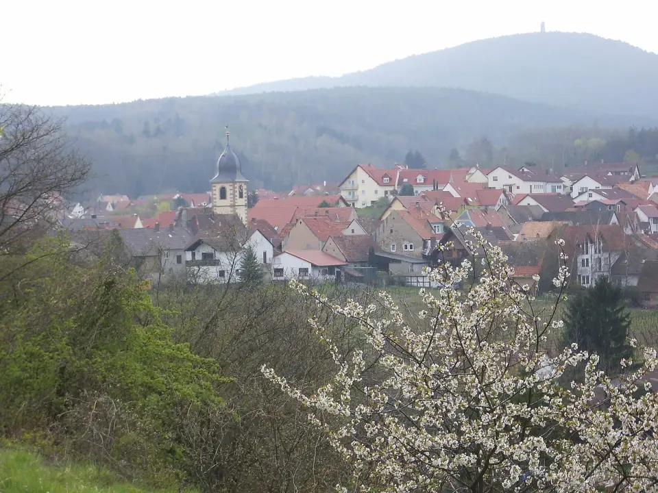 Peterskopf
