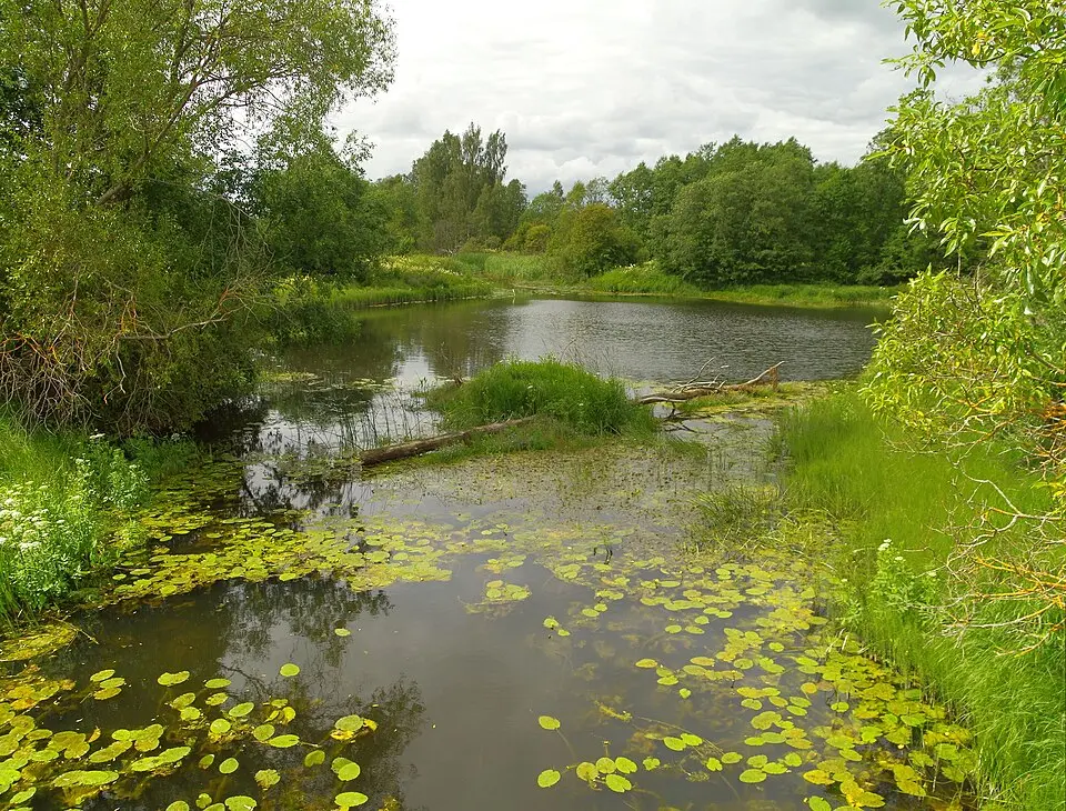 Commune de Raasiku