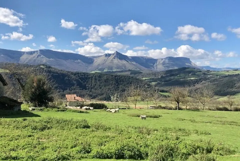 Lecamaña