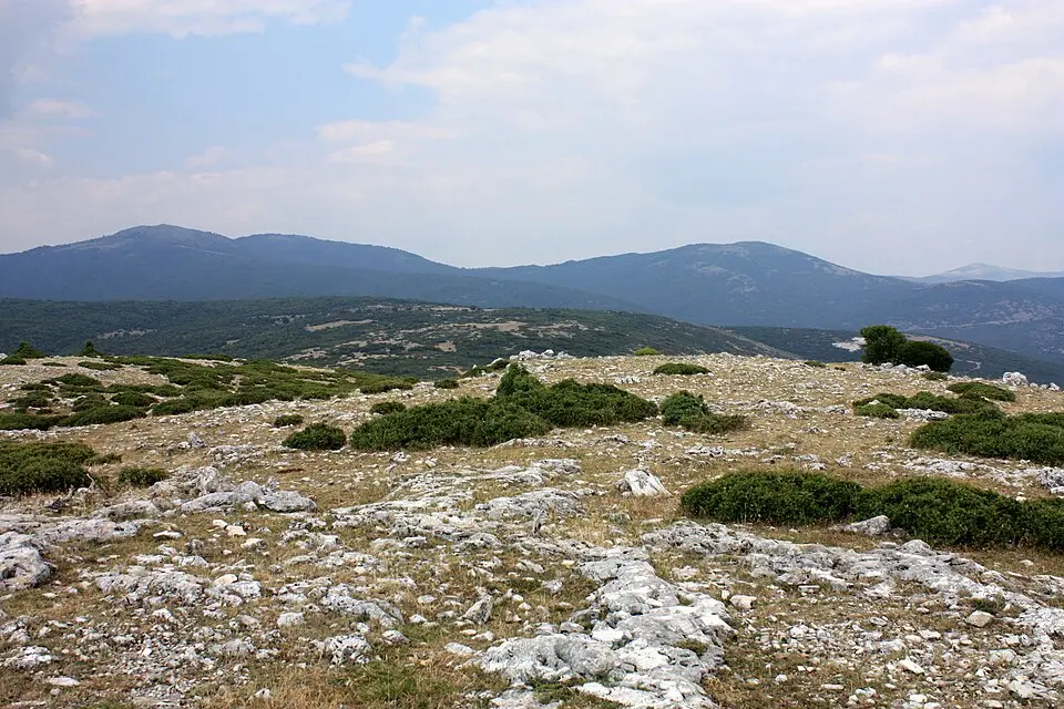 Όρη Λεκάνης