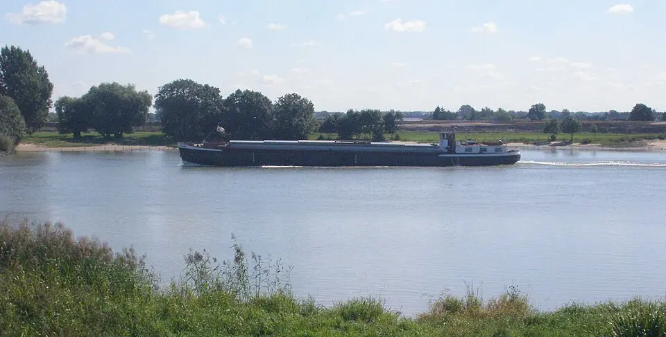 Lek