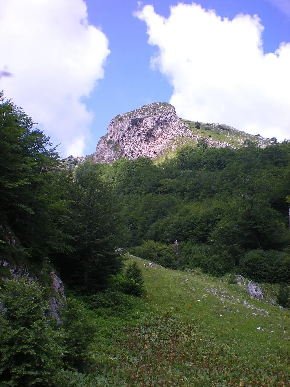 Lelija