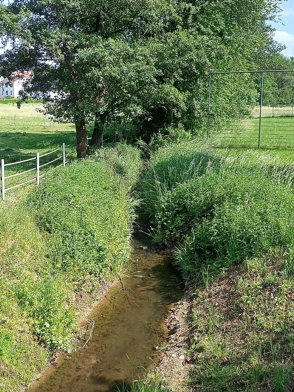Lembach