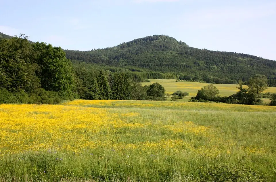 Lemberg