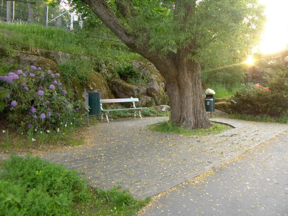 Lenininpuisto