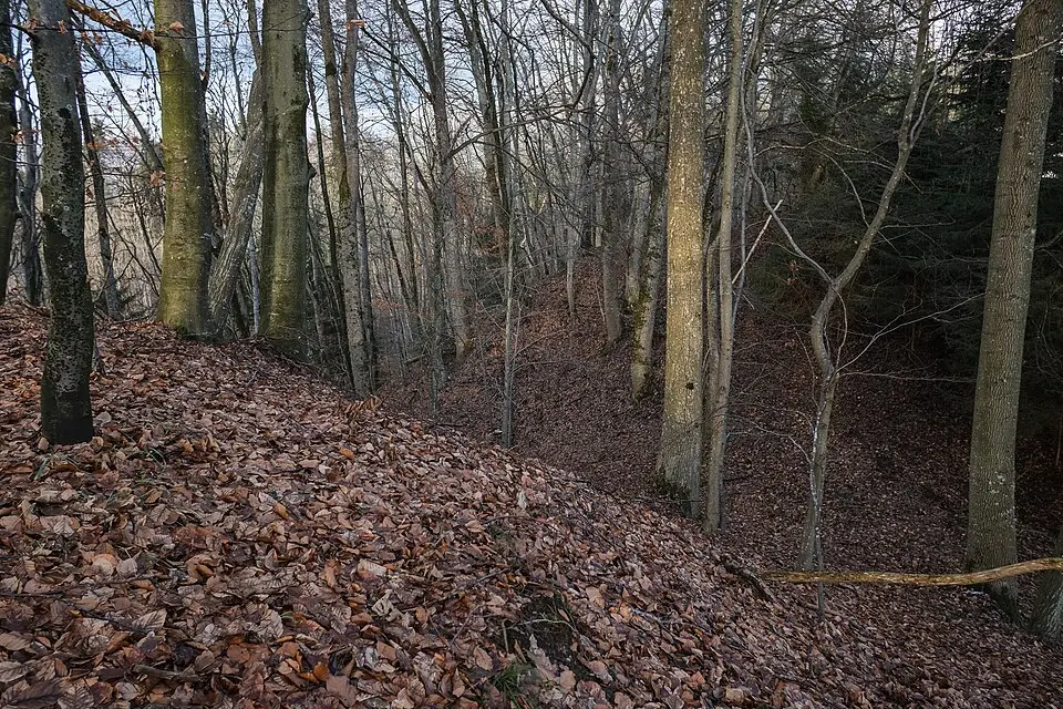Burgstall Leonegg (Hattenweiler)