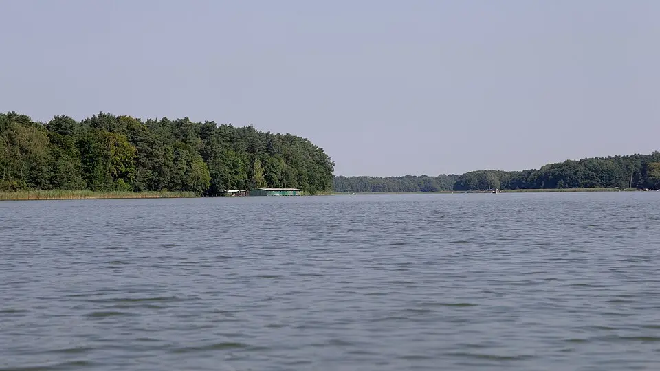 Leppinsee