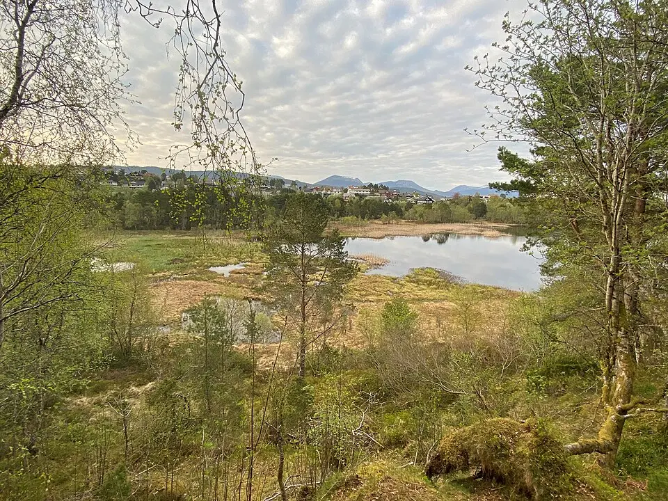 Lerstadvatnet naturreservat