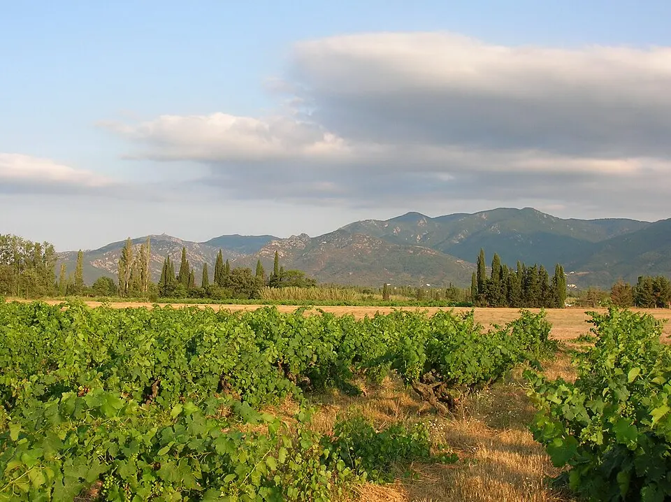Sierra de la Albera