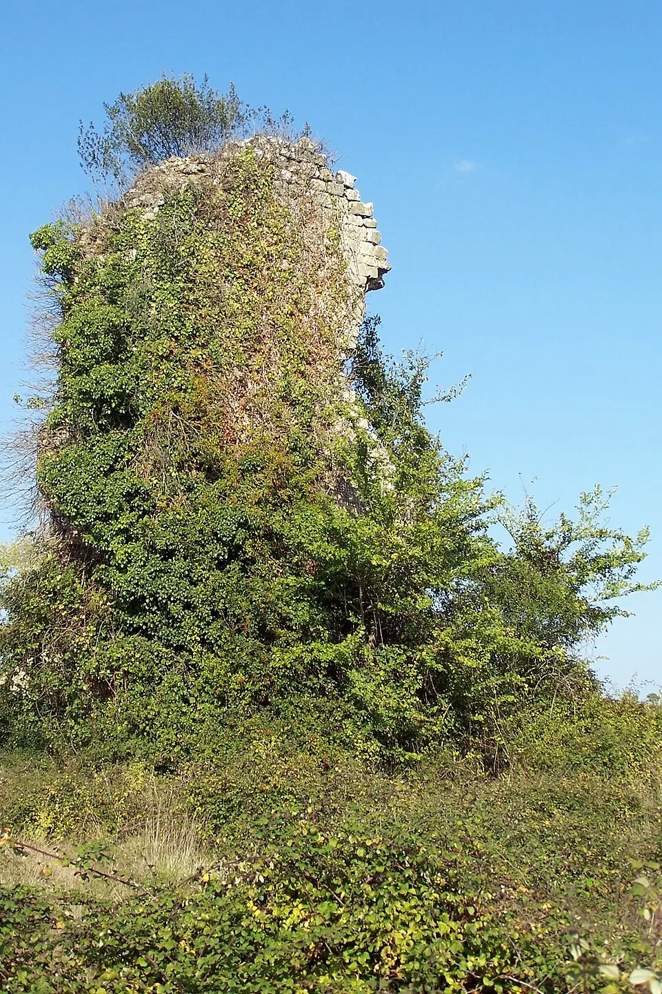 Kép: Henry Salomé · CC BY-SA 3.0 château d'Aillas