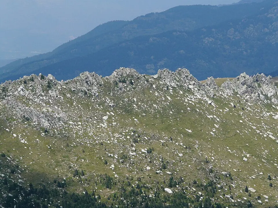 Esquerdes de Rotjà