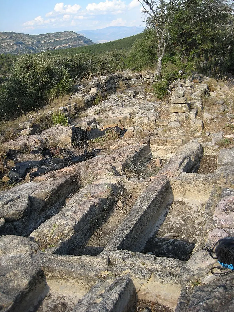 jaciment de Sant Martí de les Tombetes