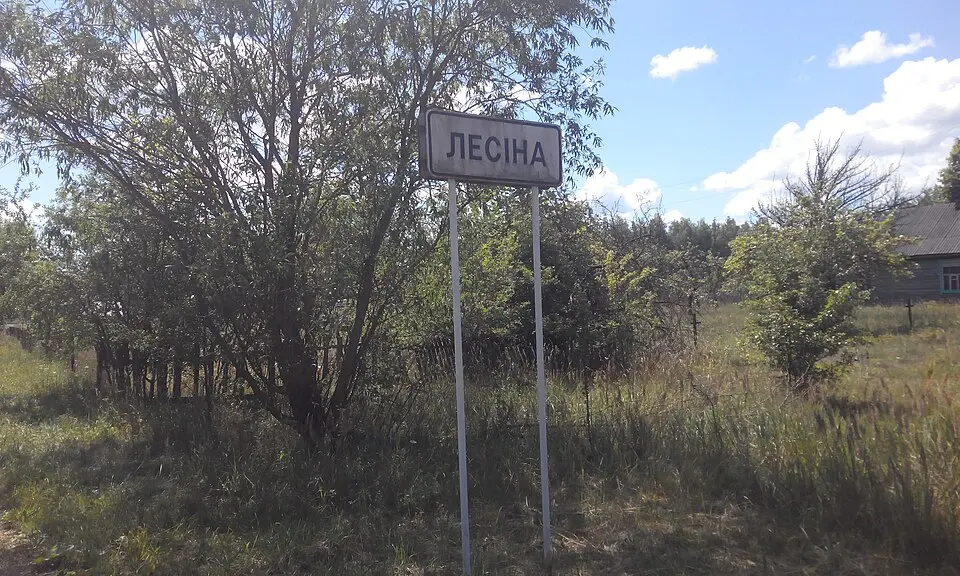 Лесіна