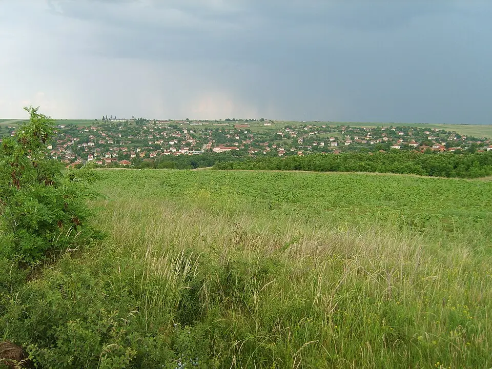 Лесура