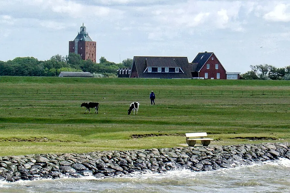 Neuwerk