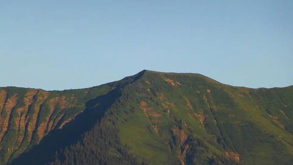 Leuenkopf